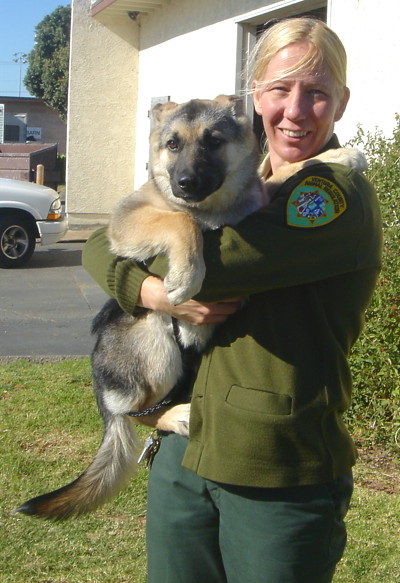 hurley and denise